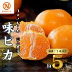 JAにしうわの季節の柑橘 川上共選味ピカ5kg