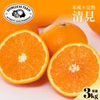 清見 3kg