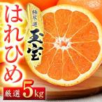 玉宝はれひめ 5kg