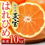 玉宝はれひめ 10kg