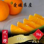 代々橙まどんな3kg YWTW045