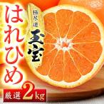 玉宝はれひめ 2kg