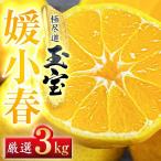 玉宝媛小春 ひめこはる 3kg