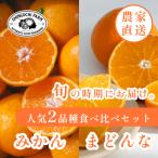 愛媛フルーツ旬の柑橘 みかん まどんな 各2kg