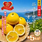 さわやかな香りと上品な甘さ ニューサマーオレンジ 約5キロ
