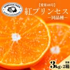 甘平×まどんな 愛果48号 YWTK111