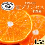 紅プリンセスと同品種 甘平×まどんな 愛果48号