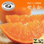訳ありだけど美味しさそのまま せとか 2.5kg