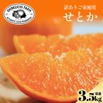 訳ありだけど美味しさそのまま せとか 3.5kg