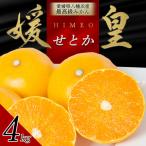 最高級みかん 媛皇 せとか 4kg
