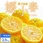 媛小春 2.5kg