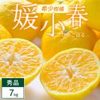 媛小春 7kg