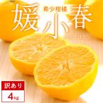 媛小春 4kg