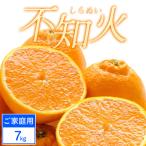 不知火 7kg