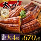 うなぎ 蒲焼大サイズ4尾 計670g以上