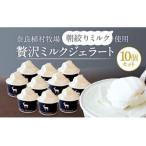 定期便3ヶ月 濃厚ミルクジェラート 10個セット