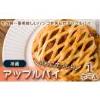 サクサク生地×とろけるリンゴの絶品アップルパイ