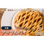 サクサク生地×とろけるリンゴの絶品アップルパイ