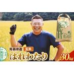 玄米 はれわたり 令和8年産 30kg