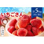 ふるさと納税 冷凍いちご(いちごさ�