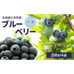 ブルーベリー 冷凍