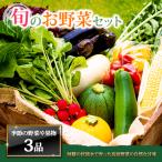 季節のお野菜セット 3品