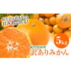 訳ありみかん 5kg