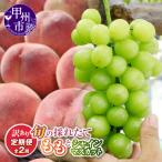 旬の採れたて訳あり2回定期便 桃 シャインマスカット