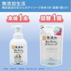 無添加泡の石けんボディソープ セットS