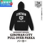GINOWAN CITY PULL OVER