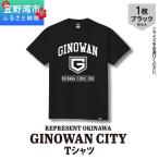 GINOWAN CITY T-SHIRTS