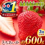 栃木のこでらんないイチゴ とちあいか 約600g