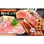 特選飛騨牛 5等級ステーキ サーロイン400g