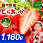 とちあいか 1160g