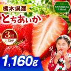 とちあいか 1160g