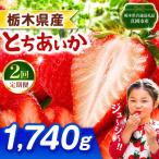とちあいか 1740g