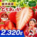 とちあいか 2320g