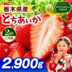 とちあいか 2900g