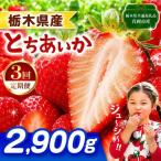 とちあいか 2900g