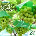 シャインマスカット 約2kg