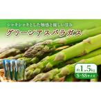 グリーンアスパラ 野菜 新鮮 富良野産