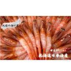 8-012-004 増毛産 獲れたての冷凍甘えび 1kg