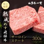 熟成めす 飛騨牛 山勇牛 サーロイン ステーキ 100g×3