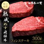 熟成めす 飛騨牛 山勇牛 フィレ ステーキ 100g×3