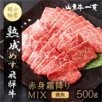 熟成めす 飛騨牛 山勇牛 焼肉 赤身 霜降り MIX 500g