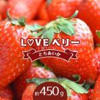 LOVE ベリー とちあいか 450g