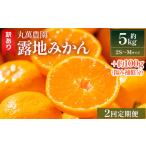 みかん 5kg