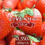 LOVE ベリー とちあいか 1 350g