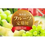 フルーツ三昧 お試し3回コース アールスメロン1玉