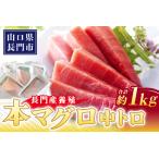 長門産養殖 本マグロ 中トロ柵 1kg